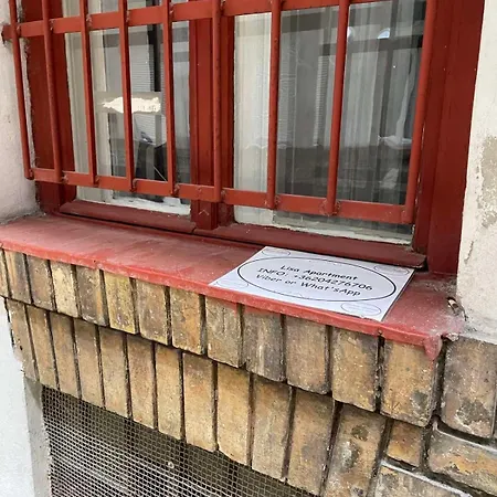 Lisa On The Famous Dohany Street Будапешт